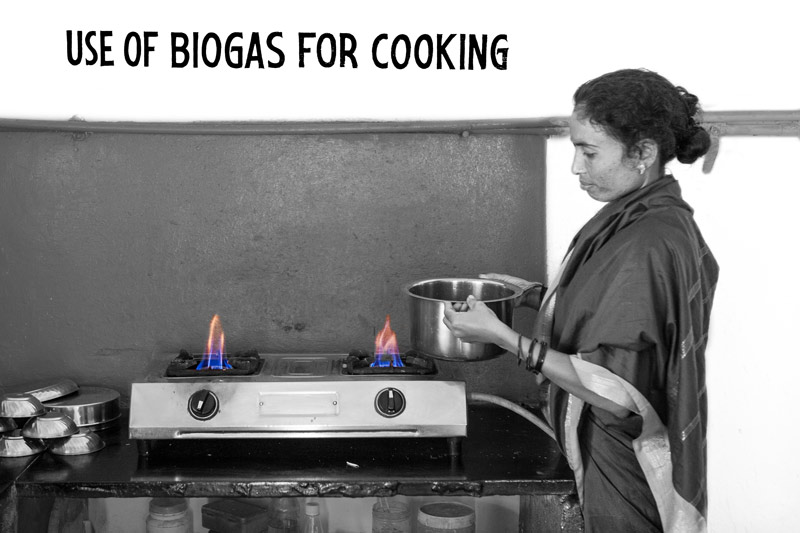 Biogas from the digester being used as cooking gas at the community toilet-cum-bath complex constructed by Sulabh International in Shirdi, Maharashtra